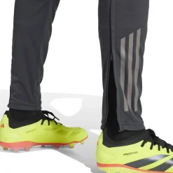Herren Adidas España, S.A.U Hosen|Trainingsanzüge|Herren CL Trainingshosen 24/25 Dunkelgrau