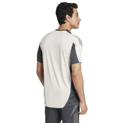 Herren Adidas España, S.A.U T-Shirts|T-Shirts|Herren CL Trainingsshirt 24/25 Beige