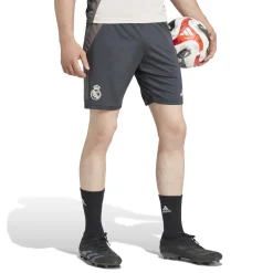 Herren Adidas España, S.A.U Hosen|Herren CL Trainingsshorts 24/25 Dunkelgrau
