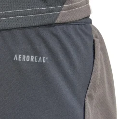 Herren Adidas España, S.A.U Hosen|Herren CL Trainingsshorts 24/25 Dunkelgrau