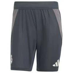 Herren Adidas España, S.A.U Hosen|Herren Pro CL Trainingsshorts 24/25 Dunkelgrau