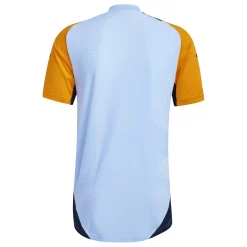 Herren Adidas España, S.A.U T-Shirts|T-Shirts|Herren Pro Training Shirt 24/25 Blau