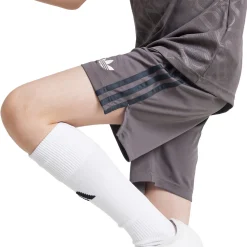 Kinder Adidas España, S.A.U Hosen|Kinder Ausweichshorts 24/25 Charcoal